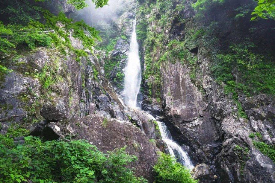 宁夏两会｜石嘴山市副市长、公安局局长董立军代表谈交通安全治理